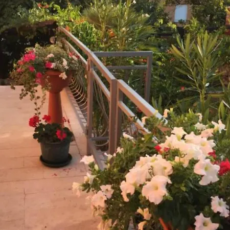 Bozena - One Bedroom With Terrace *